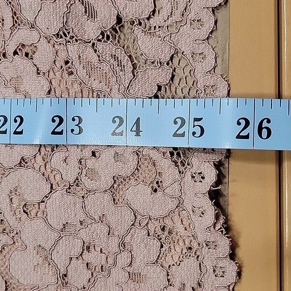 H&M Size 4 Dusty Rose Lace Pencil Skirt. Mini Lining, Gently Used Condition - Picture 6 of 9